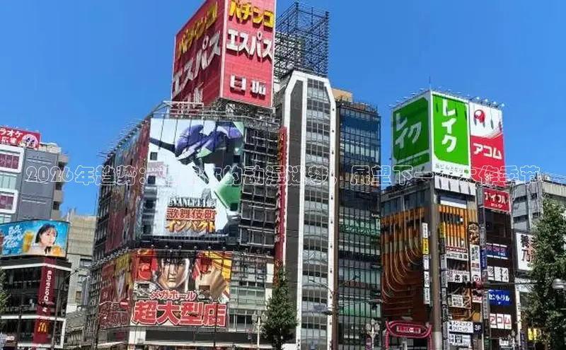 高德娱乐